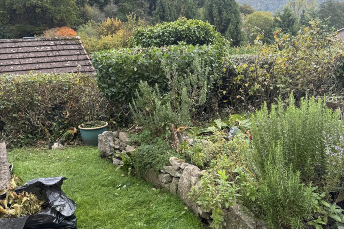 hedge-cuttin3