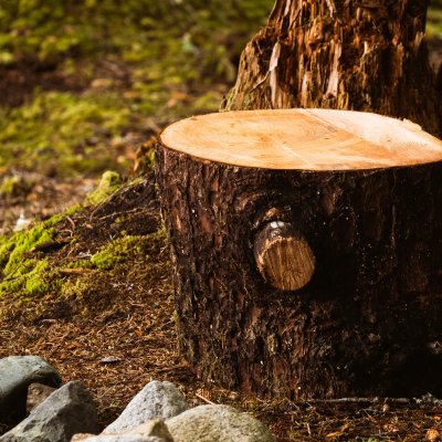 sonny-mauricio-JmXOVbfDwe8-unsplash