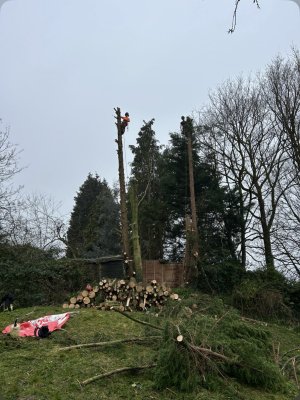 IMG_8185  Screenshot