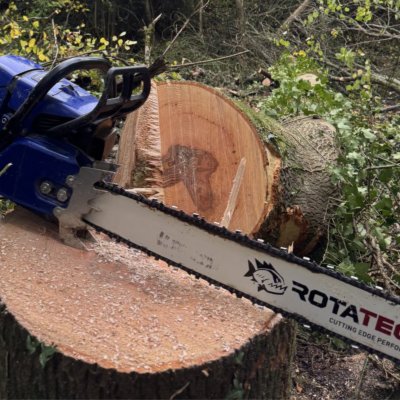 tree work2