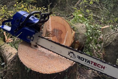 tree work2