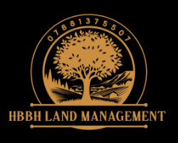 graphic of a golden tree against a rolling golden valley